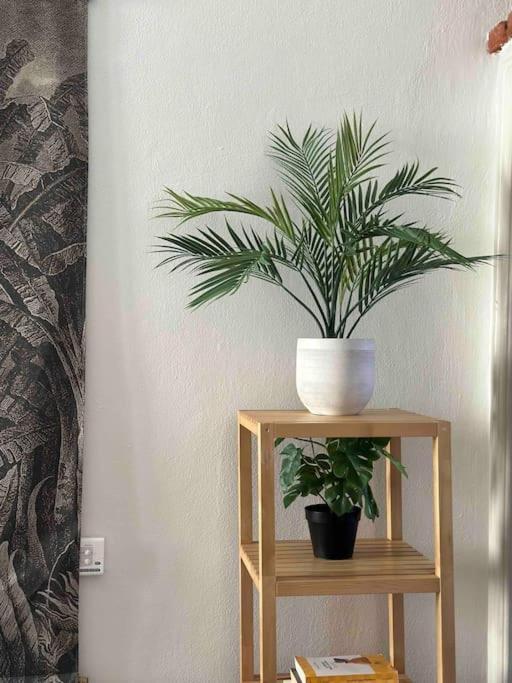 Appartement Xenia - Charming Garden In Porta Venezia *